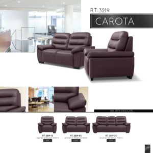 SF-CAROTA