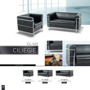 SF-CILIEGIE