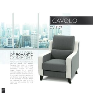 SF-CAVOLO