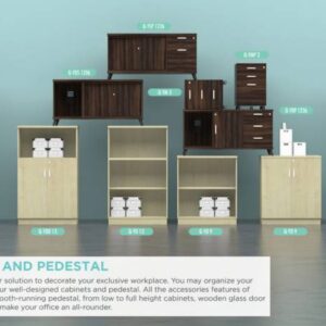 SF-CABINET & PEDESTAL.
