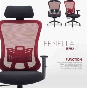 SF-FENELLA